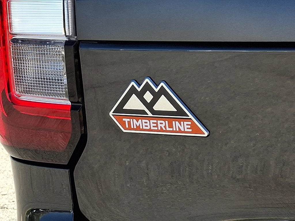 2023 Ford Expedition Timberline